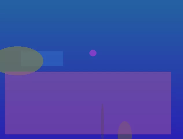 星空体育app团队