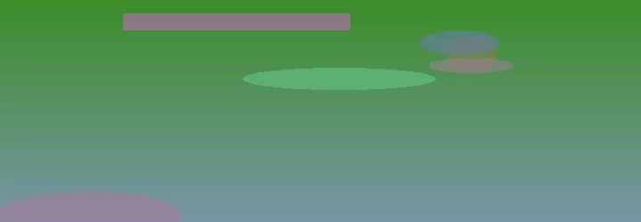 星空体育app团队