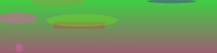 星空体育app公司