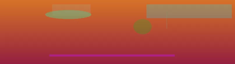 星空体育app