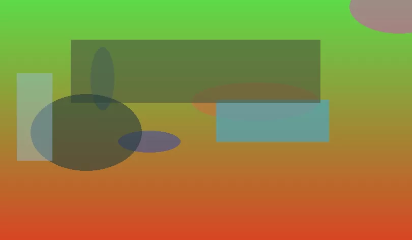 星空体育app团队