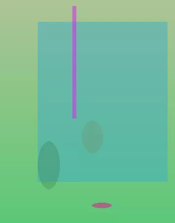 星空体育app团队