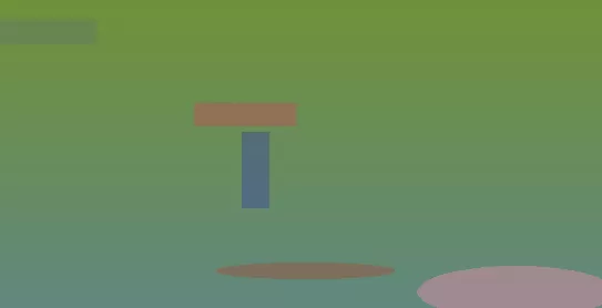 星空体育app