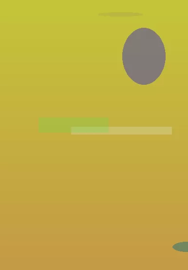 星空体育app部门