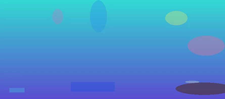 星空体育app