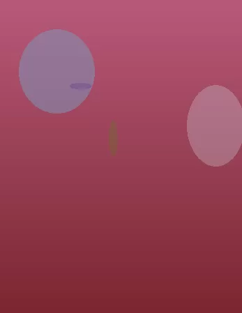 星空体育app公司