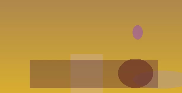星空体育app