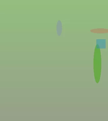 星空体育app