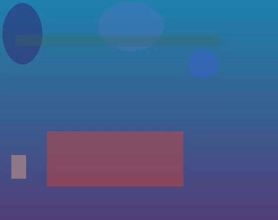 星空体育app团队