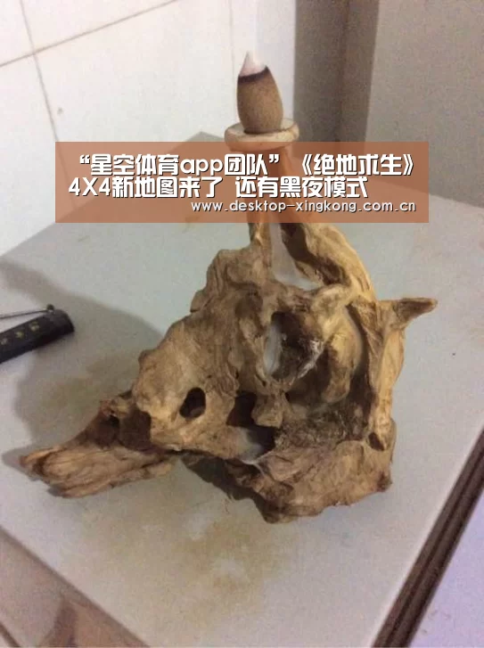 星空体育app部门