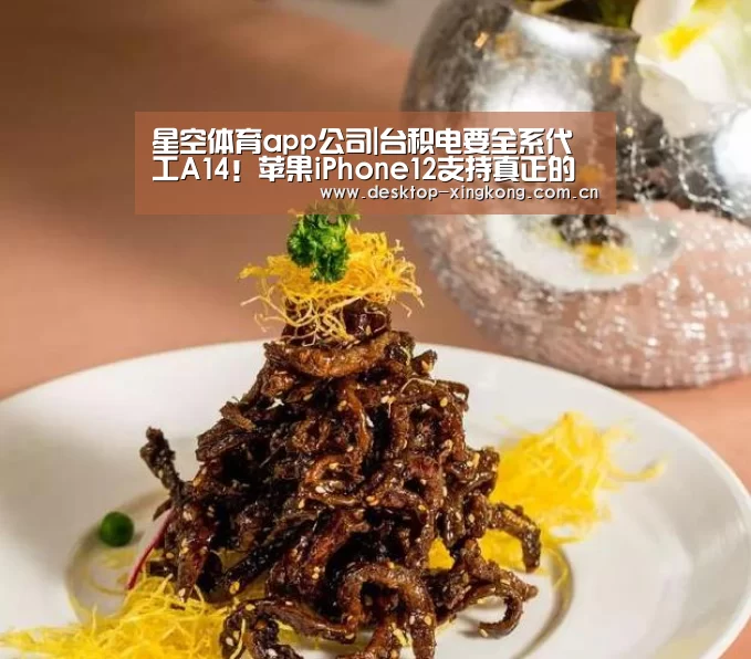 星空体育app公司