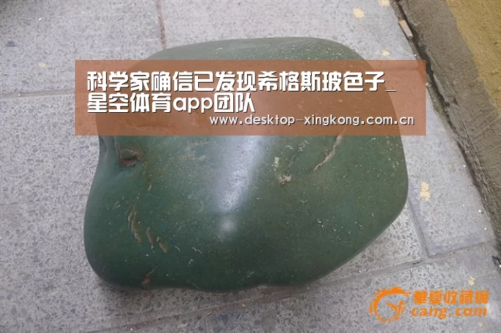 星空体育app公司