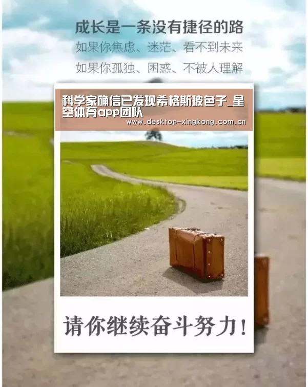 星空体育app部门