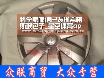 星空体育app团队