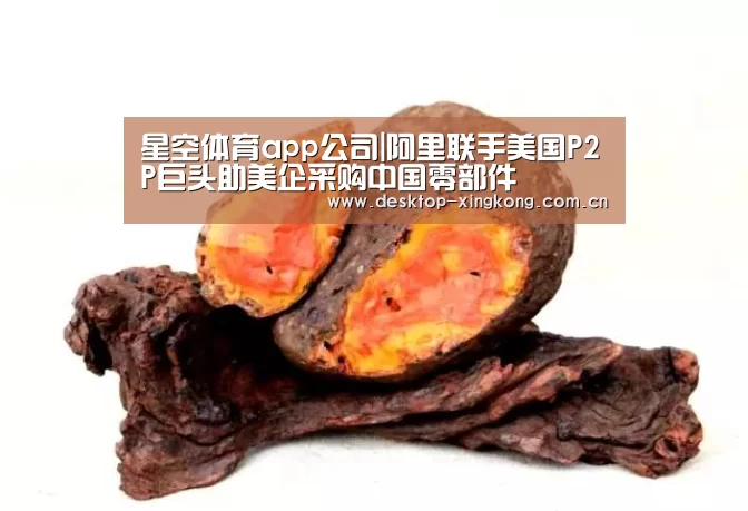星空体育app公司|阿里联手美国P2P巨头助美企采购中国零部件(图2) 星空体育app部门