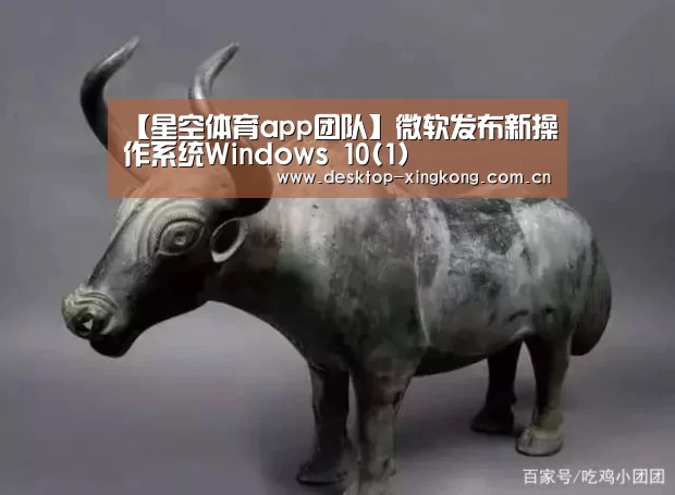 星空体育app团队