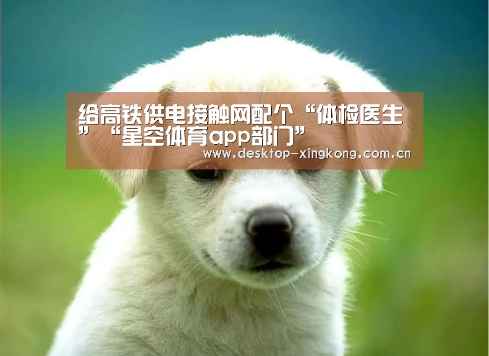 星空体育app部门