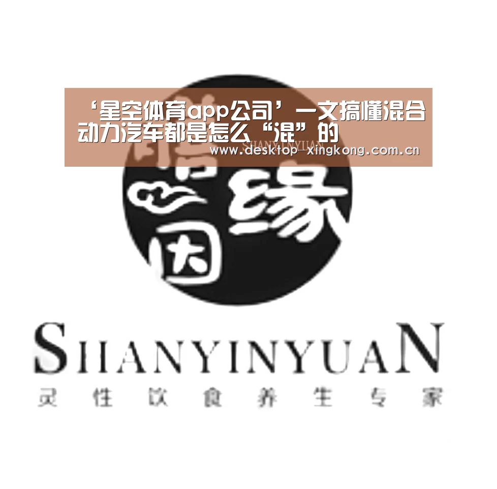 ‘星空体育app公司’一文搞懂混合动力汽车都是怎么“混”的(图1) 星空体育app公司